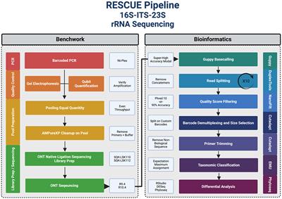 RESCUE: a validated Nanopore pipeline to classify bacteria through long-read, 16S-ITS-23S rRNA sequencing